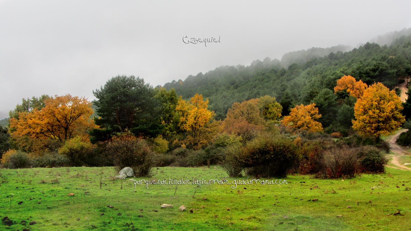 Ruta por el Arroyo del Chiquillo 02 