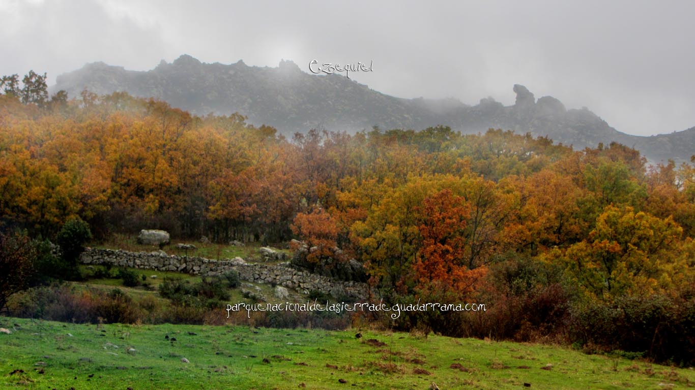 Ruta por el Arroyo del Chiquillo 04 