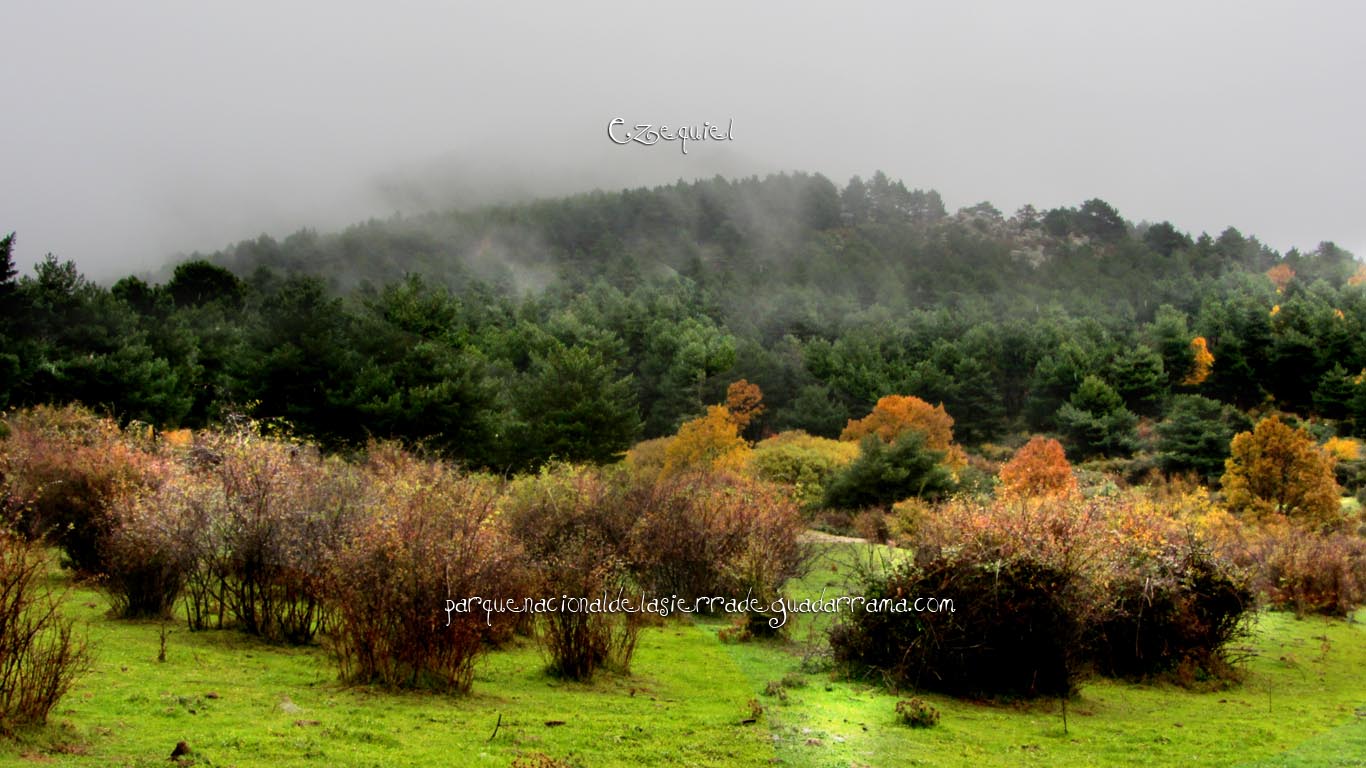 Ruta por el Arroyo del Chiquillo 09 