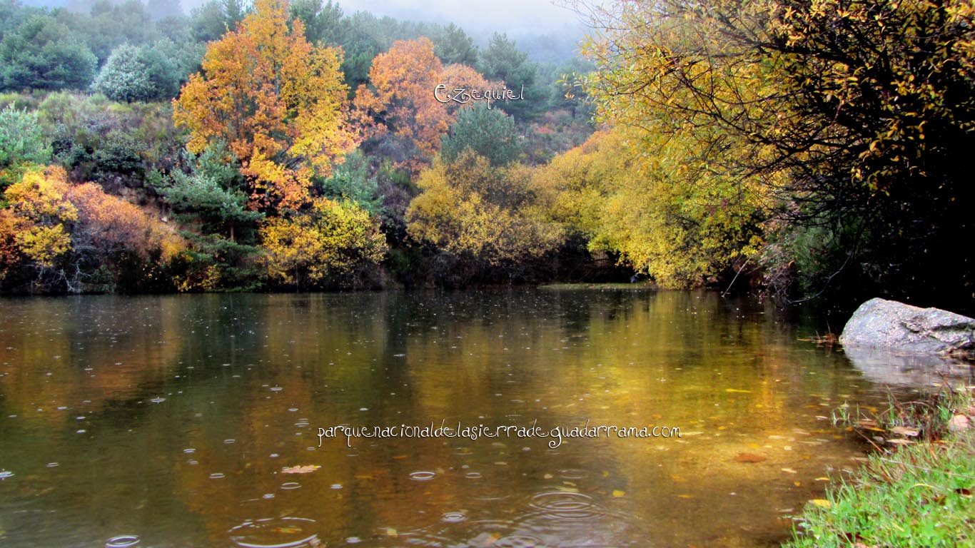 Ruta por el Arroyo del Chiquillo 12 