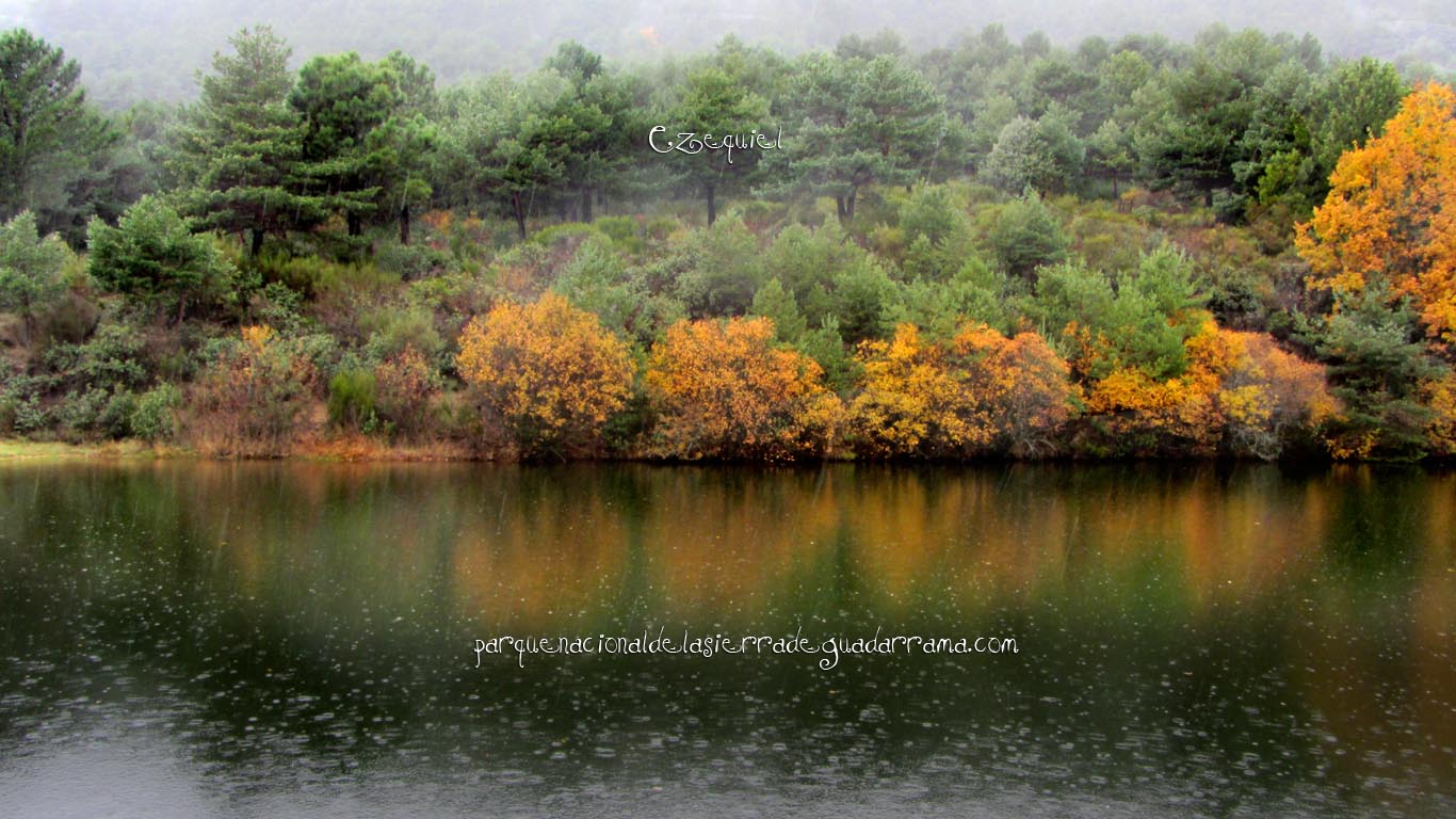 Ruta por el Arroyo del Chiquillo 13 