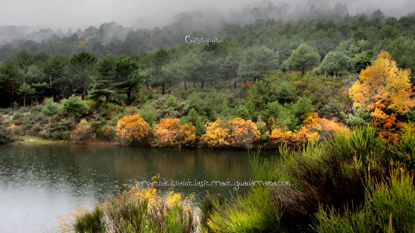 Ruta por el Arroyo del Chiquillo 14 