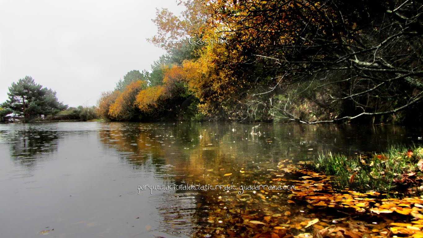 Ruta por el Arroyo del Chiquillo 17 