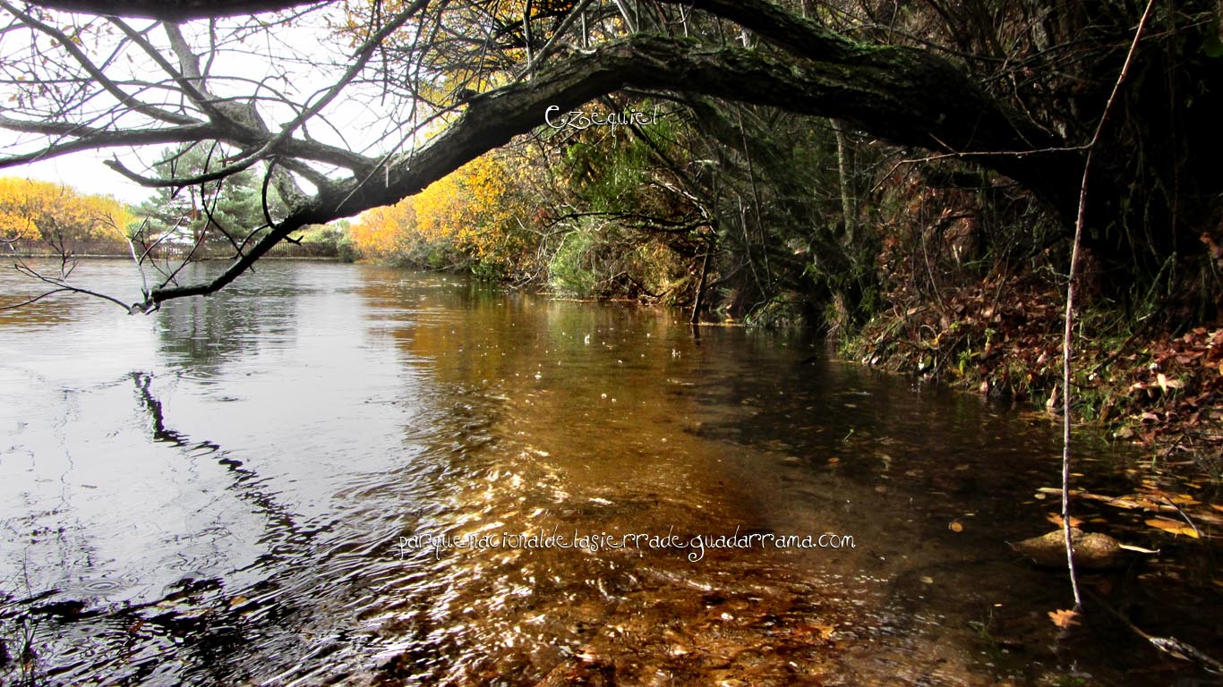 Ruta por el Arroyo del Chiquillo 18 