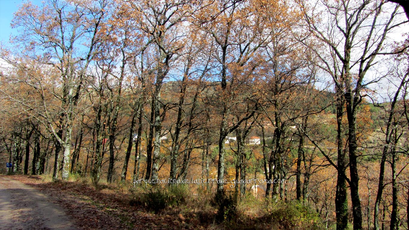 Ruta por Cuatro Calles en la zona de la Najarra de Miraflores de la Sierra 03 