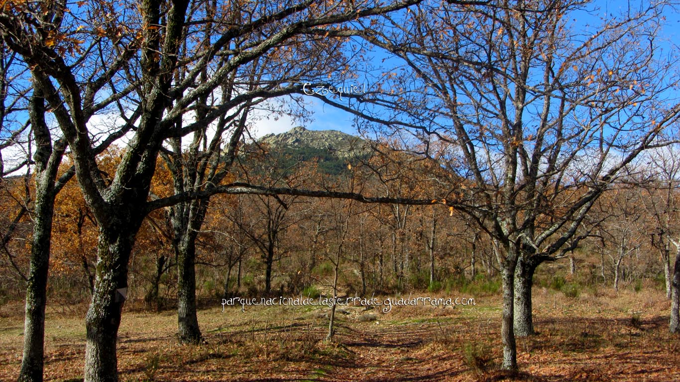 Ruta por Cuatro Calles en la zona de la Najarra de Miraflores de la Sierra 07 