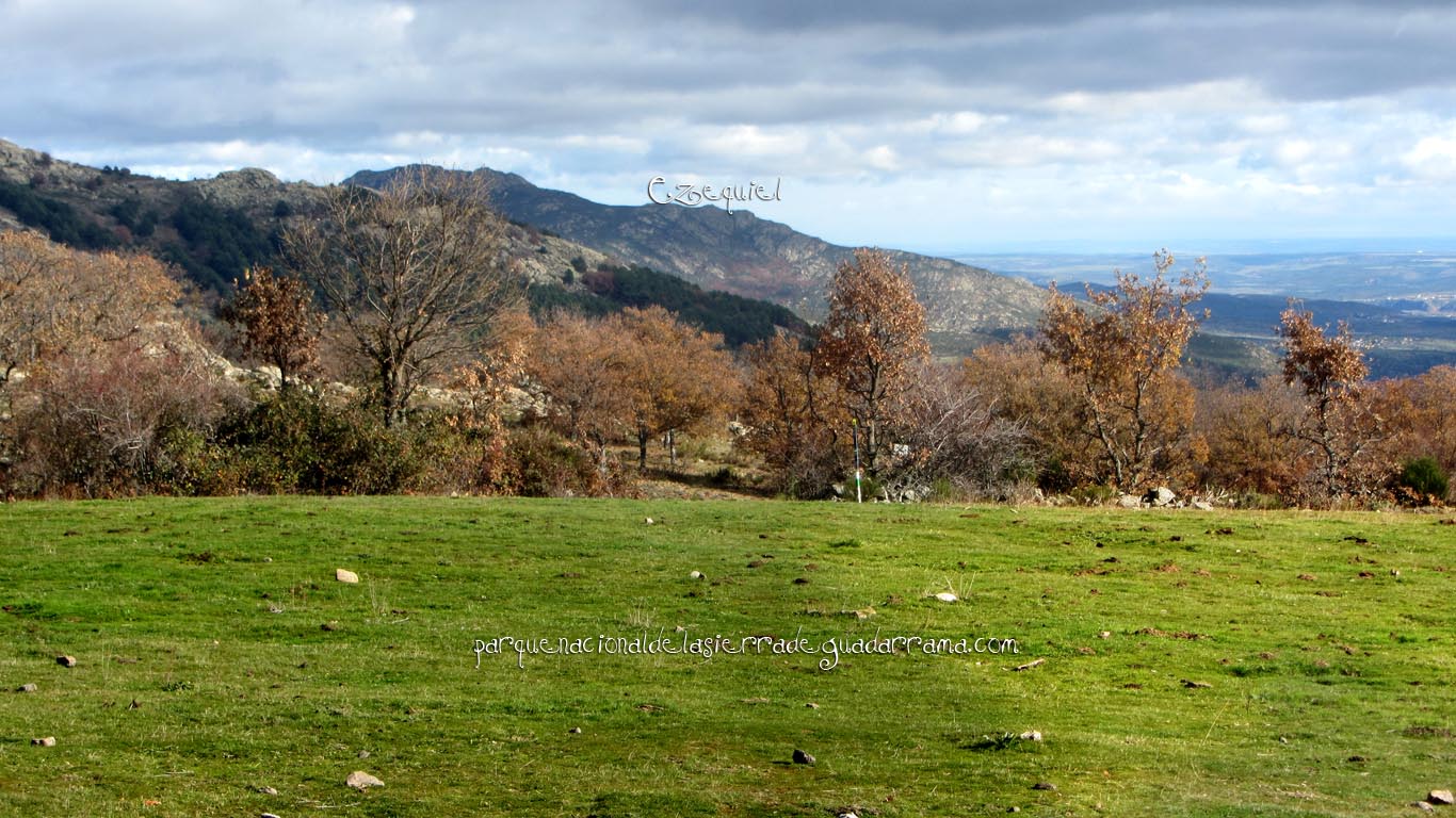 Ruta por Cuatro Calles en la zona de la Najarra de Miraflores de la Sierra 11 