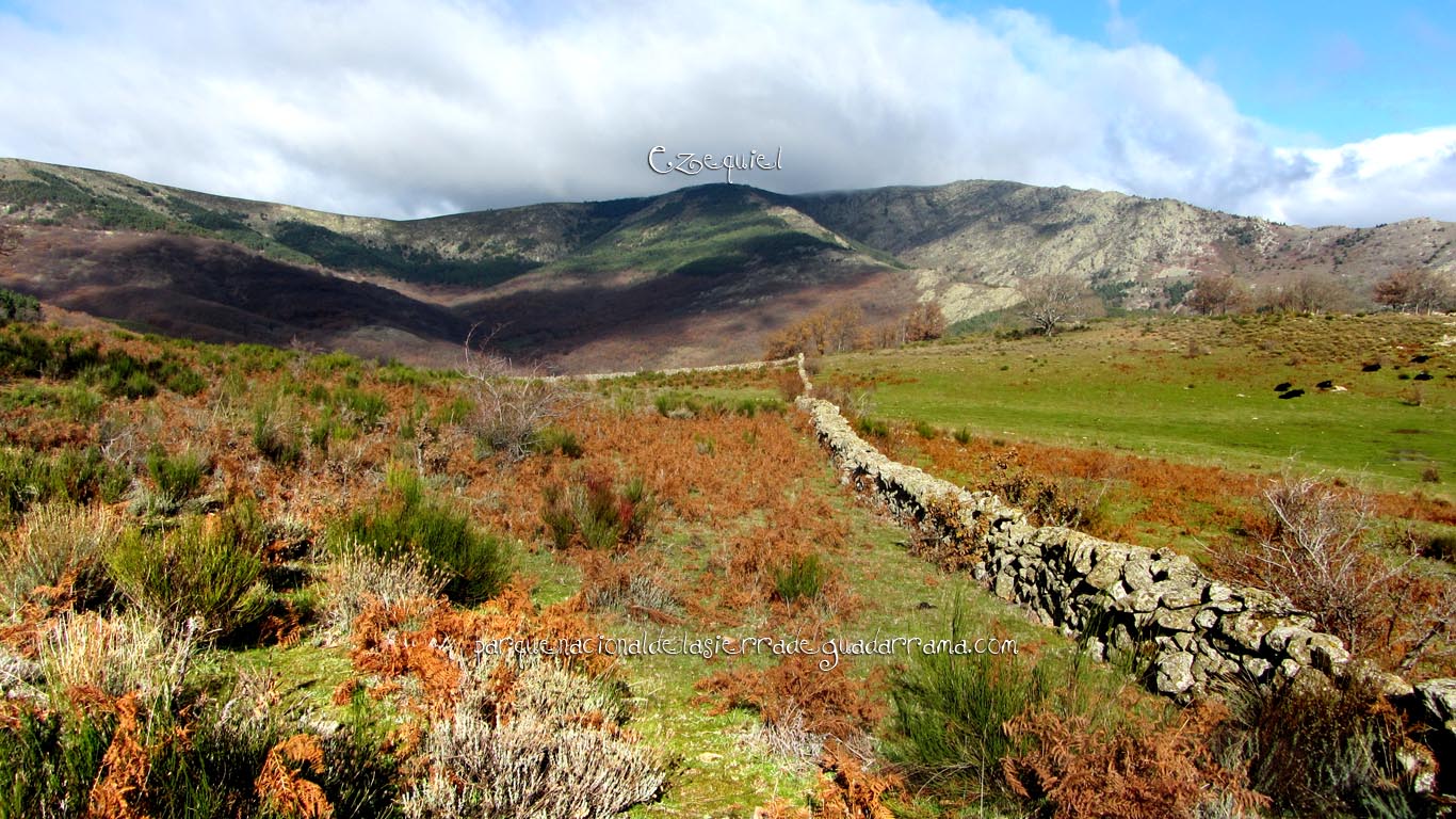 Ruta por Cuatro Calles en la zona de la Najarra de Miraflores de la Sierra 12 