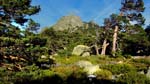 ruta_7_picos_por_collado_ventoso_26