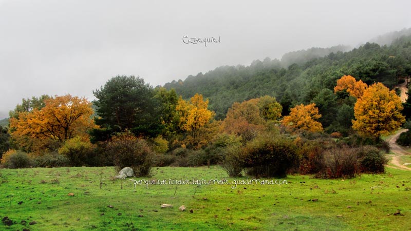 arroyo_del_chiquillo_02