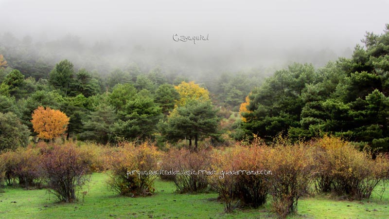 arroyo_del_chiquillo_03