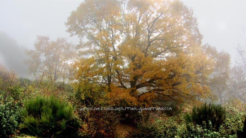 arroyo_del_chiquillo_05