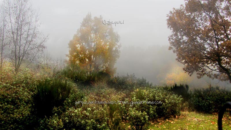 arroyo_del_chiquillo_06