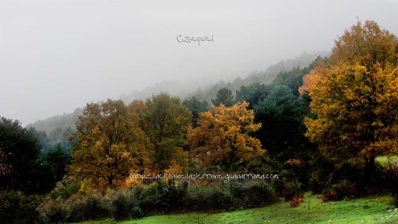 arroyo_del_chiquillo_07