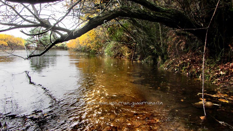 arroyo_del_chiquillo_18