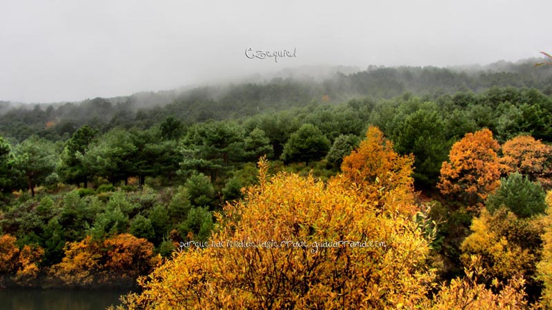 arroyo_del_chiquillo_19