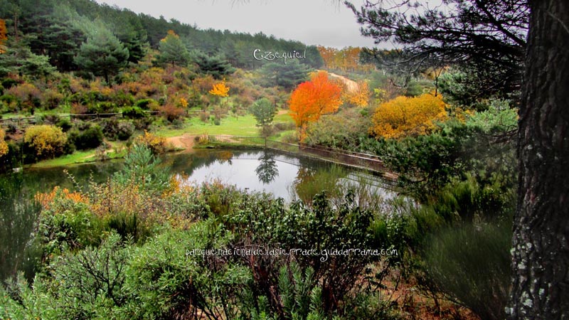 arroyo_del_chiquillo_20