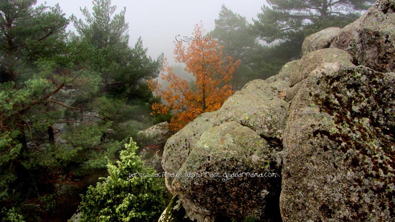 arroyo_del_chiquillo_22