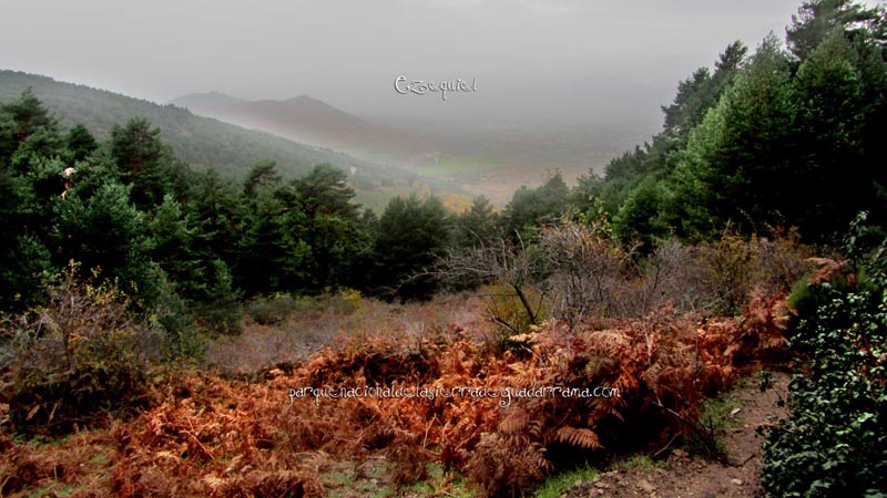 arroyo_del_chiquillo_23