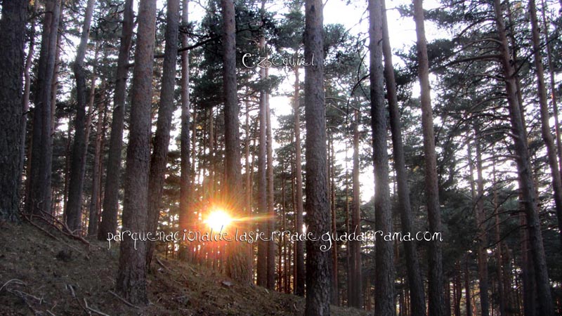 ruta_por_la_chorranca_25