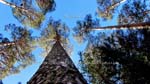 ruta_por_la_chorranca_03