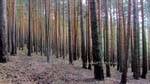 ruta_por_la_chorranca_05
