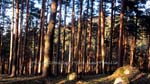 ruta_por_la_chorranca_26