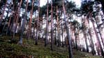 ruta_por_la_chorranca_28