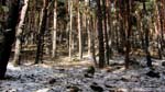 fotos_por_arroyo_san_blas_21