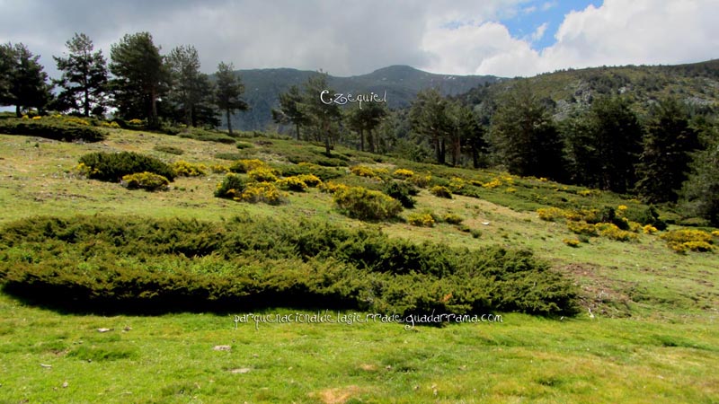fotos_por_cabeza_de_hierro_04