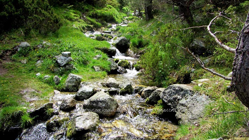 fotos_por_cabeza_de_hierro_08