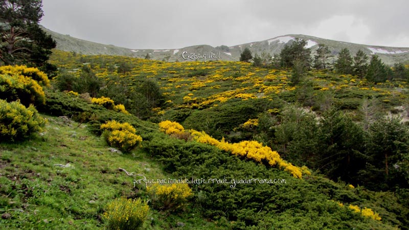 fotos_por_cabeza_de_hierro_09