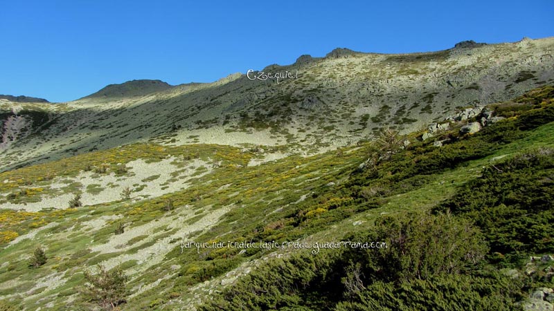 fotos_por_cabeza_de_hierro_29