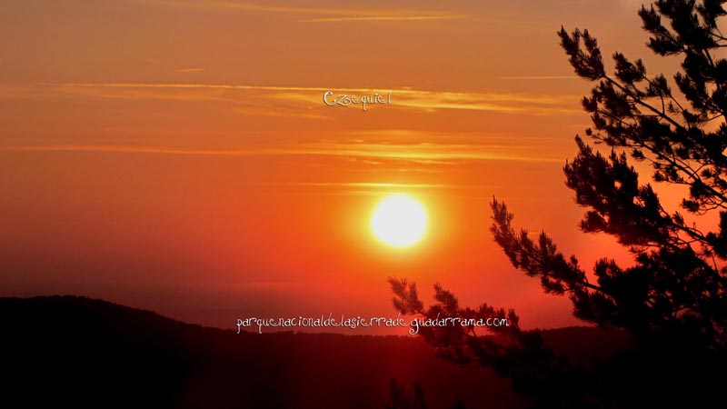 fotos_por_cabeza_de_hierro_39