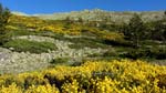 fotos_por_cabeza_de_hierro_02