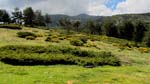 fotos_por_cabeza_de_hierro_04