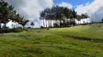 fotos_por_cabeza_de_hierro_06