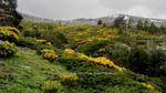 fotos_por_cabeza_de_hierro_09