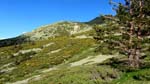 fotos_por_cabeza_de_hierro_31