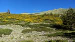 fotos_por_cabeza_de_hierro_33