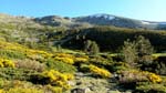 fotos_por_cabeza_de_hierro_36