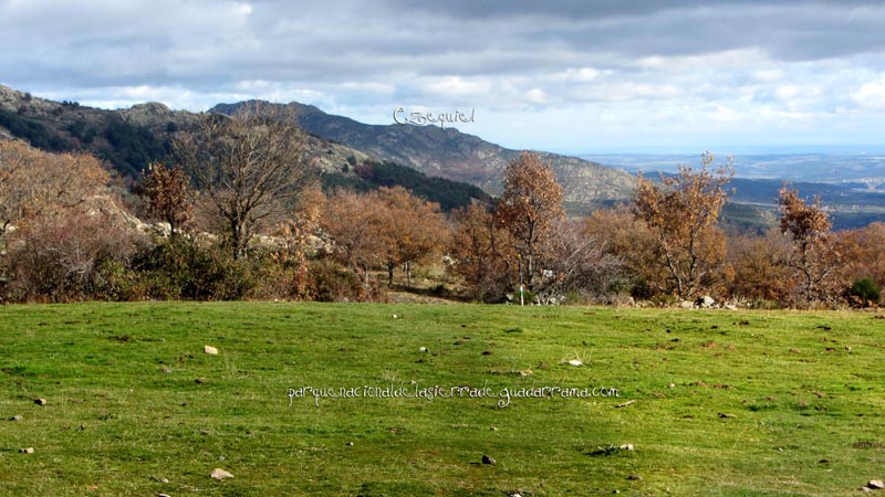 fotos_por_cuatro_calles_11
