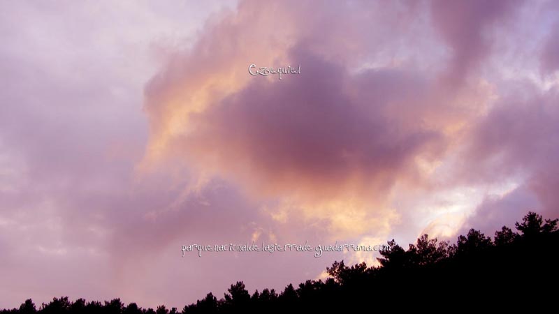 fotos_por_cuatro_calles_18