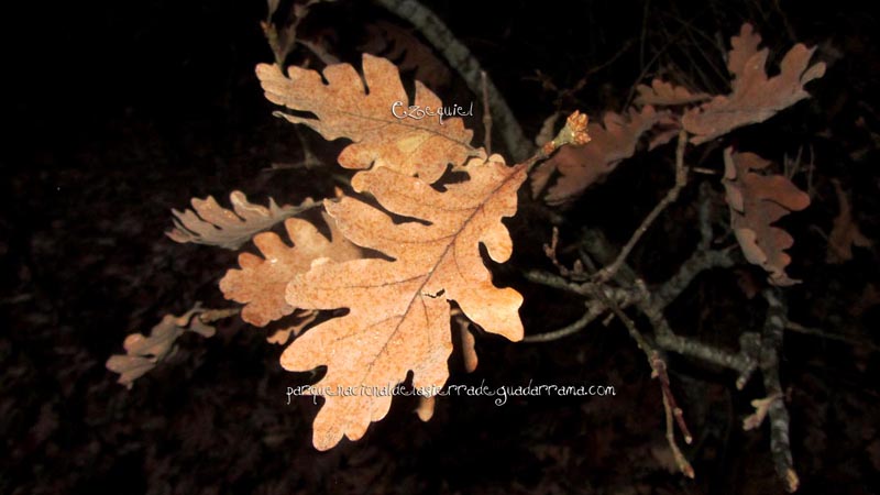 fotos_por_cuatro_calles_23