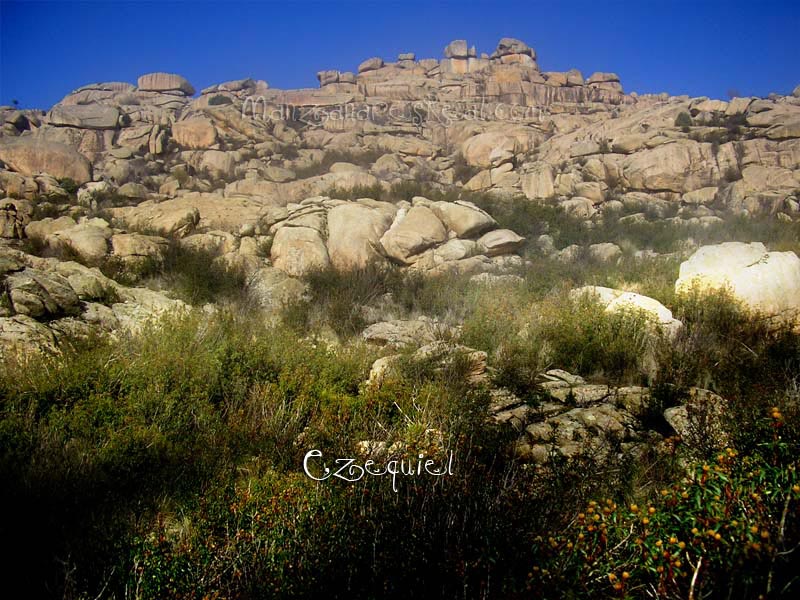 fotos_por_manzanares_real_25