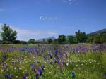 fotos_por_miraflores_de_la_sierra_03