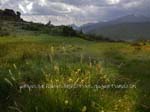 fotos_por_miraflores_de_la_sierra_14