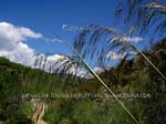 fotos_por_miraflores_de_la_sierra_26