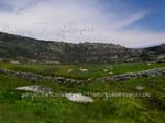 fotos_por_miraflores_de_la_sierra_33