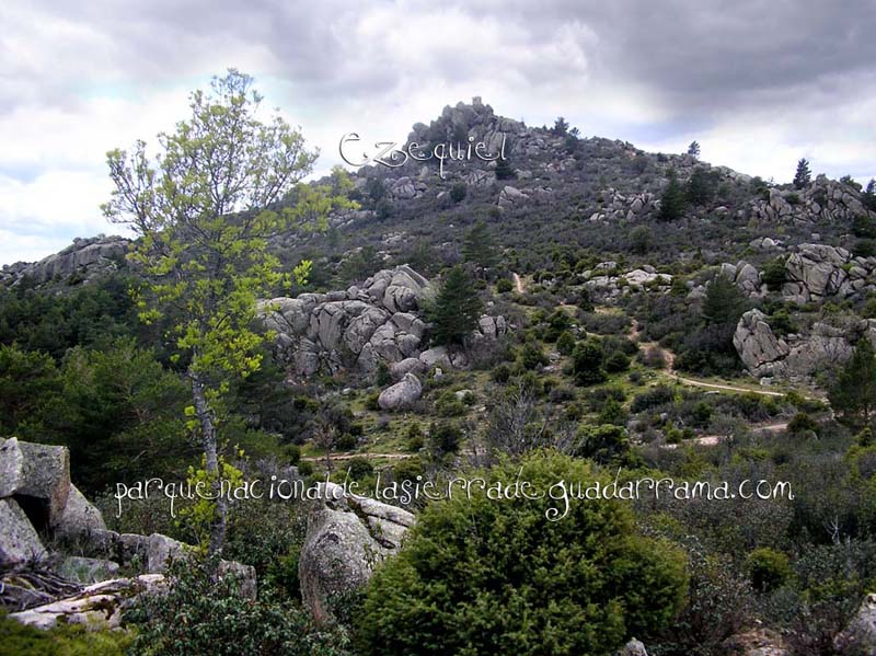 becerril_collado_mediano_21